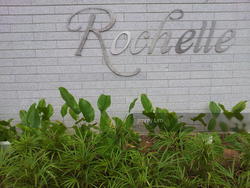 Rochelle At Newton (D11), Condominium #135538632